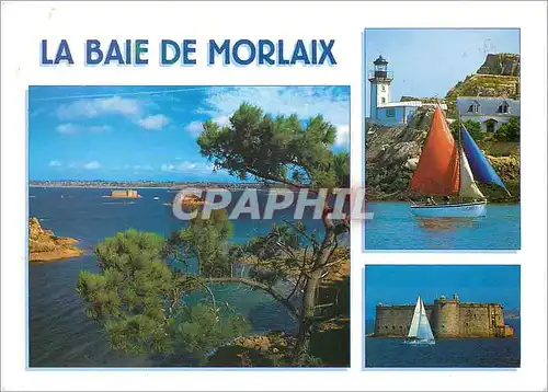 Cartes postales moderne La Baie de Morlaix Finistere Ses circuits touristiques Le baie de Morlaix et la phare de l'ile L