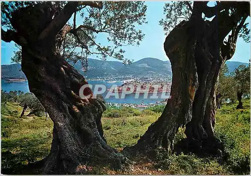 Moderne Karte Poros Vue partielle