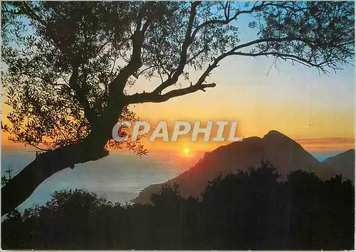 Cartes postales moderne Grece Coucher de soleil