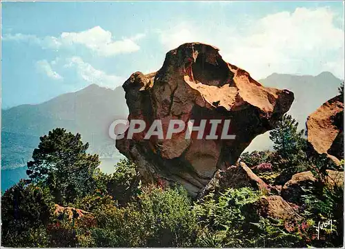 Cartes postales moderne La Corse Oasis de Beaute Les Calanche La tete de chien