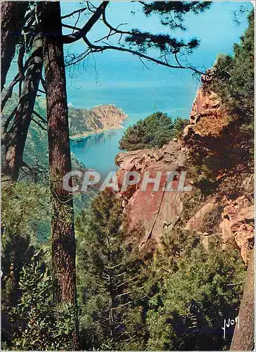 Cartes postales moderne La Corse oasis de Beaute Les Calanques Ravin encadre de magnifiques roches rouges