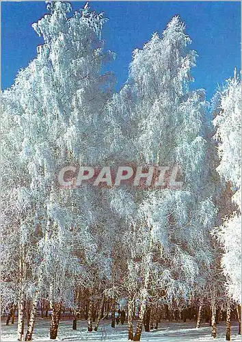 Cartes postales moderne Mezhdunarodnaya Kniga Moscou