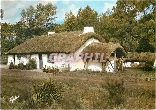 Moderne Karte Au pays de Monts Bourine Vendeenne