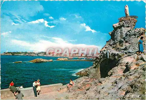 Cartes postales moderne Biarritz Le Rocher de la Vierge