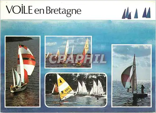 Cartes postales moderne Plaisir de la Voile en Bretagne