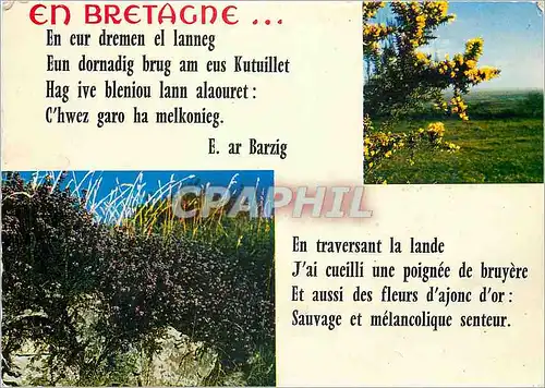 Cartes postales moderne En Bretagne En eur dremen et lanneg