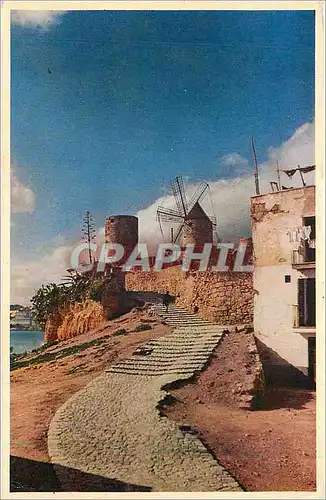 Moderne Karte Mallorca Espana Palma Molinos de El Janquet