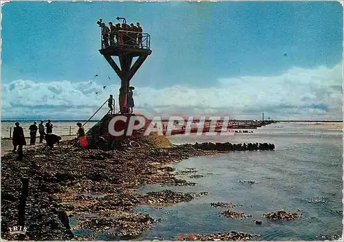 Cartes postales moderne Ile de Noirmoutier La Passage du Gois balise au depart de l'ile