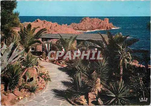 Cartes postales moderne La Corniche d'Or Var Paysage Mediterraneen