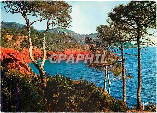 Cartes postales moderne La Cote d'Azur miracle de la nature Massif de l'Esterel Var Criques et calanques festonnent la c