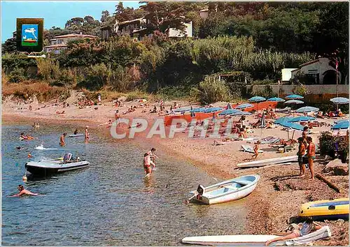 Cartes postales moderne Saint Tropez Una plage