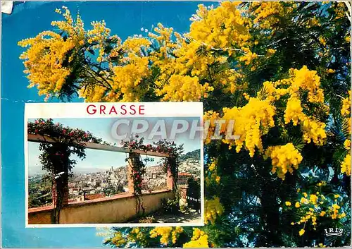 Cartes postales moderne La Cote d'Azur French Riviera Grasse La Cite des Parfums