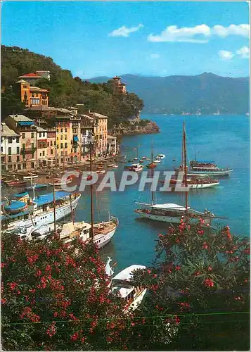 Cartes postales moderne Portofino Vue panoramique