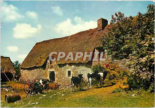 Cartes postales moderne Chaumieres de Bretagne