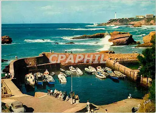 Cartes postales moderne Les Pyrenees Biarritz Basses Pyrenees Le Port des Pecheurs