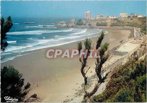 Cartes postales moderne La Cote Basque Biarritz Plage des Basques reputee pour le surf riding