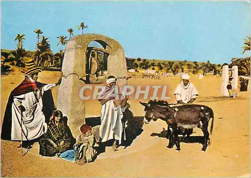 Moderne Karte Ghardaia Algerie Oasis Un puits au M'Zab  Ane Mule