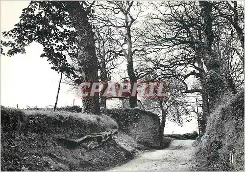 Cartes postales moderne Bretagne Pittoresque Le charme un peu mysterieux des chemins creux