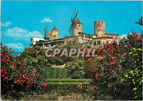 Cartes postales moderne Mallorca Baleares Espana Palma Molinos det Jonquet