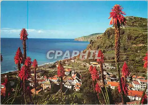 Cartes postales moderne Madeira Village de Ribeira Brava