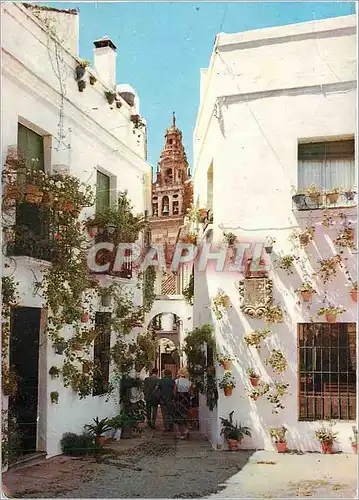 Moderne Karte Cordoba Petit rue des Fleurs