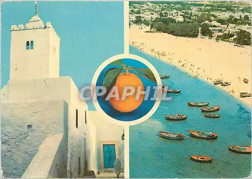 Moderne Karte Hammamet Tunisie