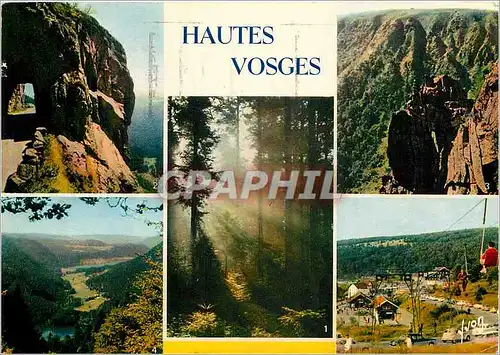 Cartes postales moderne Les Hautes Vosges La Foret Vosgienne Route de la Schlucht Le Hohneck