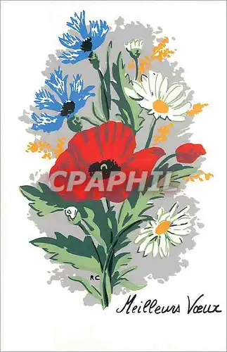 Cartes postales moderne Meilleurs Voeux Fleurs