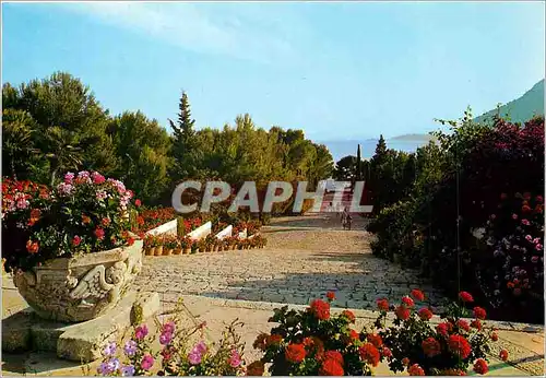 Cartes postales moderne Mallorca Baleares Espana Pollensa Hotel Formentor