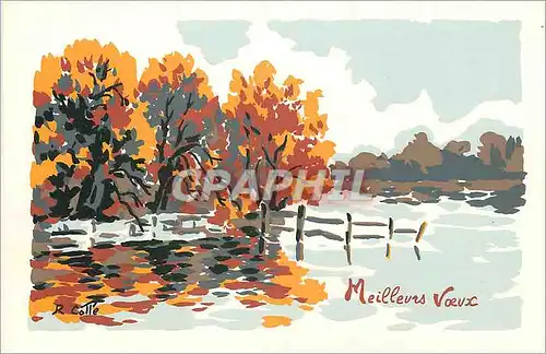 Cartes postales moderne Meilleurs Voeux