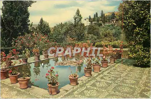 Cartes postales moderne Alhambra Jardins du Partal au fond de Generalife