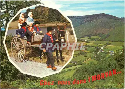 Cartes postales moderne Le Morvan TouristiqueAne Mule