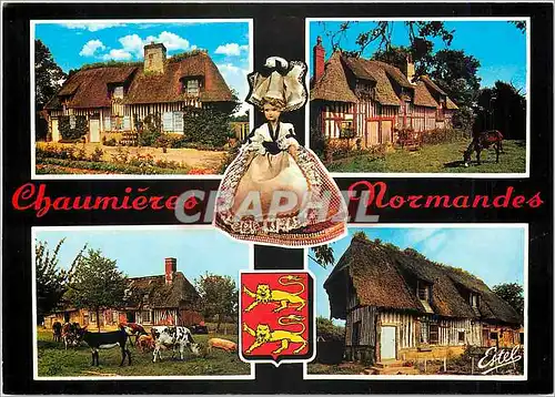 Cartes postales moderne Chaumieres Normandes