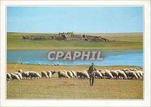 Moderne Karte Mongolie exterieure la Steppe Moutons