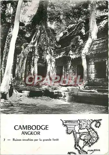 Cartes postales moderne Cambodge Angkor ruines envahies par la grande Foret