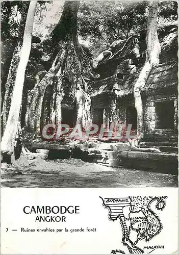 Moderne Karte Cambodge Angkor ruines envahies par la grande Foret