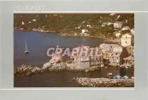 Cartes postales moderne La Corse Erbalunga