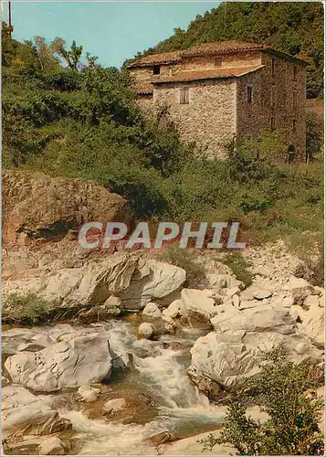 Cartes postales moderne Les Cevennes Touristiques Les gorges du Gardon entre St Jean du Gard et l'Estrechure Vieux mas a