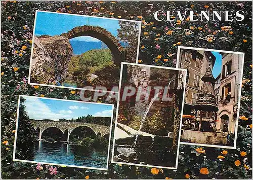 Cartes postales moderne Lumiere et Coulerus des Cevennes Anduze et Saint Jean du Gard Divers aspects