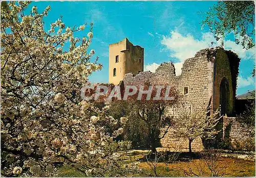 Cartes postales moderne Paysage Printanier de l'arriere Pays Mediterraneen