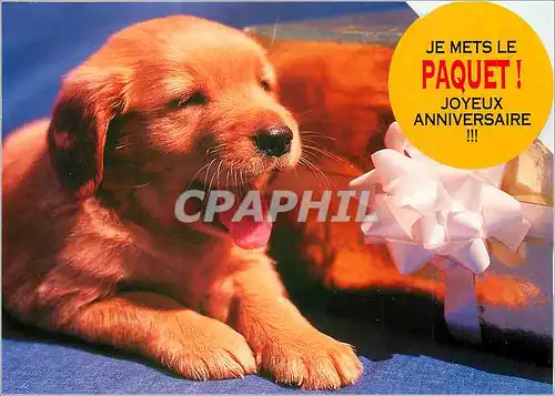 Cartes postales moderne Je mets le Paquet joyeux anniversaire