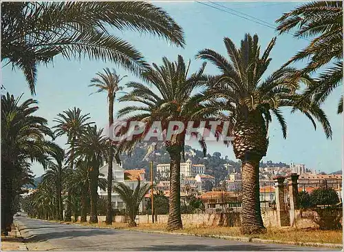 Cartes postales moderne Hyeres les Palmiers l'avenue Alexis Godillot