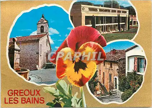 Cartes postales moderne Une pensee de Greoux les Bains (Alpes de Haute Provence) Tourisme Thermalisme Climatisme