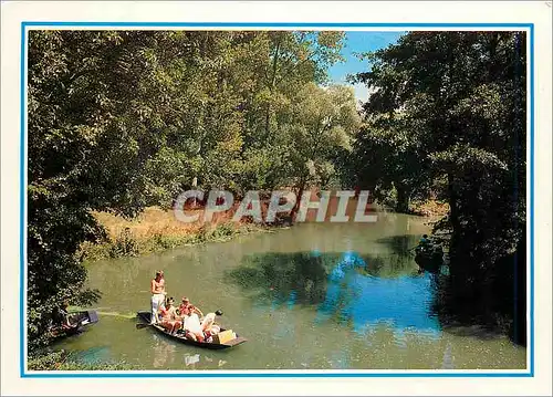 Cartes postales moderne En Flanant dans le Marais Poitevin La Venise Vere Promenade en barque sur le marais
