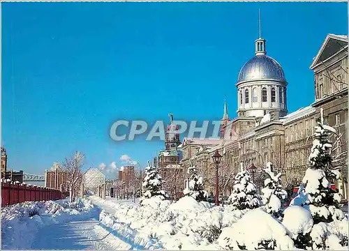 Cartes postales moderne Montreal Quebec Vieux Montreal