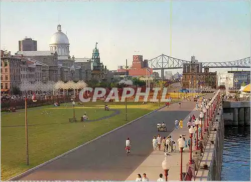 Cartes postales moderne Montreal Quebec Vieux Montreal