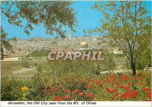 Cartes postales moderne Jerusalem la Vieille ville vue du Mt des Olivers