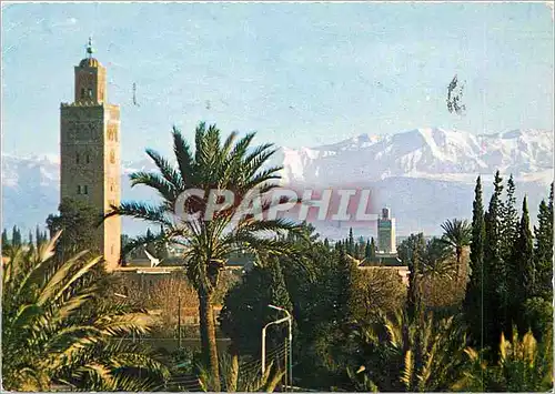 Cartes postales moderne Le Maroc Pittoresque Marrakech Koutoubia et grand Atlas