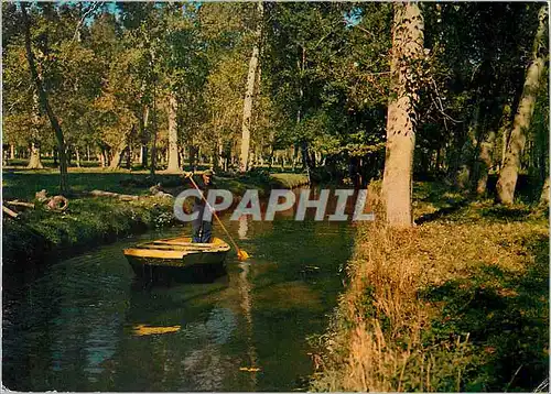 Cartes postales moderne Forets et Rivieres de France