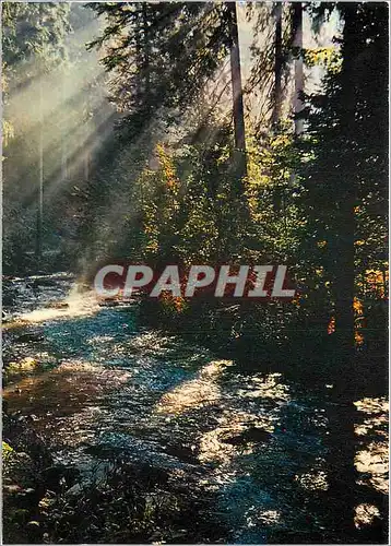 Cartes postales moderne Les Vosges Pittoresques Ombres et Lumieres sur la vologne